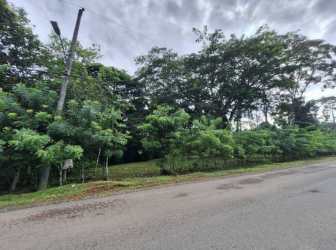 Expansive green jungle lot next to highway Villa Limón Panama