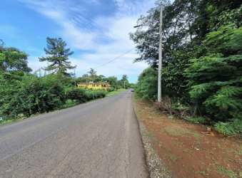 Natural dense forest countryside land for sale Panama Colón province