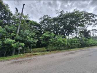 Vacant land with dense green trees alongside asphalt road in Villa Limón Chagres Panama