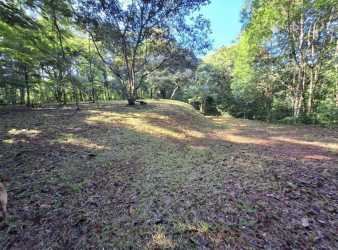 Paved road lined with dense jungle on farm lot Limón Chagres Panama
