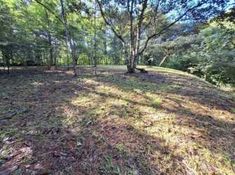 Wooded acreage with road proximity near Lago Gatun Panama