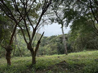 Land for Sale in Juan Diaz - 0 bedrooms