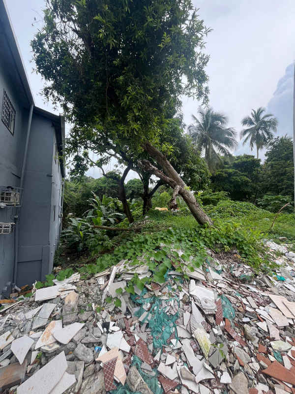 5000 square meter flat land ideal for mixed development near Metro and services in Pueblo Nuevo Panama