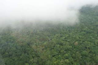 Land / Cattle Farm for Sale in El Espino - 0 bedrooms