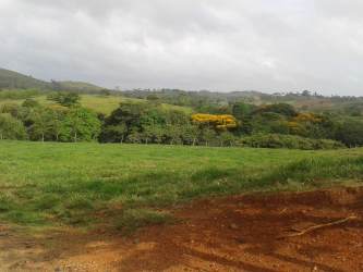 Expansive rural countryside of green pasture hills and forest in farmland San Carlos Panama