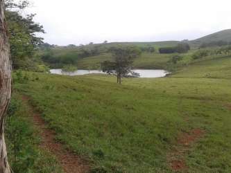 Cattle shelter and fenced corral on muddy soil in farmland San Carlos Panama
