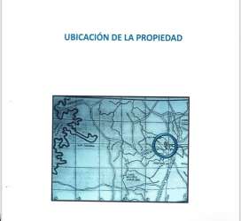 Mature teak trees in dense plantation at Amador farmland for sale