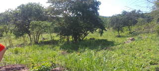 Development Land for Sale in Las Cumbres - 0 bedrooms