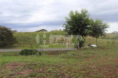 Large flat plot with grass ready to build house or lodge near Playa Venao Panama