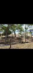 Flat sandy beachfront land for sale with ocean view and trees Playa Venao Panama