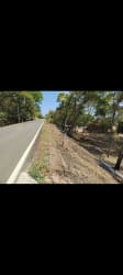 Roadside vacant land with trees near the beach at Playa Venao Panama