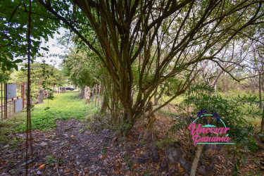 Rustic fenced property area near beach on Juan Hombron land lot Panama