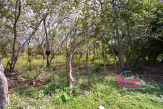 Land for Sale in Antón - 0 bedrooms