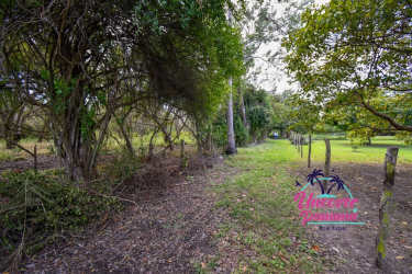 Vacant raw land lot perfect for build or agri-business in Juan Hombron Panama