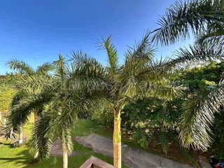 Apartment for Rent in Clayton - 4 bedrooms