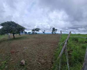 Land for Sale in San Carlos - 0 bedrooms