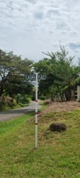 San Carlos Panama land parcel roadside with mature trees and build potential
