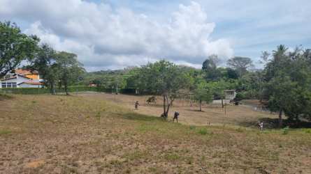 2,000m² flat titled land perfect for building in San Carlos Panama