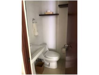 Spacious living room with large windows garden view house for rent PH River Valley