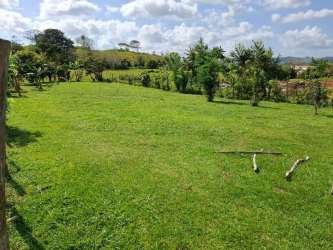 Open natural lot with grass, scattered fruit trees and rolling hills in Playa Leona district