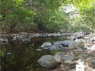 Farm Land for Sale in La Ermita - Las Uvas - 1 bedroom