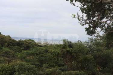Tropical hillside view with greenery and ocean glimpses from Bucaro lot Panama