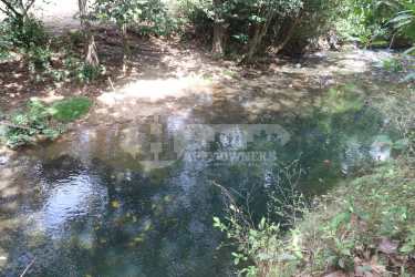 Natural river creek with rocks and green jungle surroundings in Bayano Las Tablas