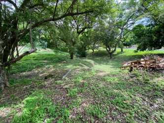 Wooded backyard grassy lot Costa Esmeralda San Carlos Panama beach land