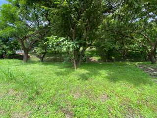 Land with cabins for Sale in San Carlos - 3 bedrooms