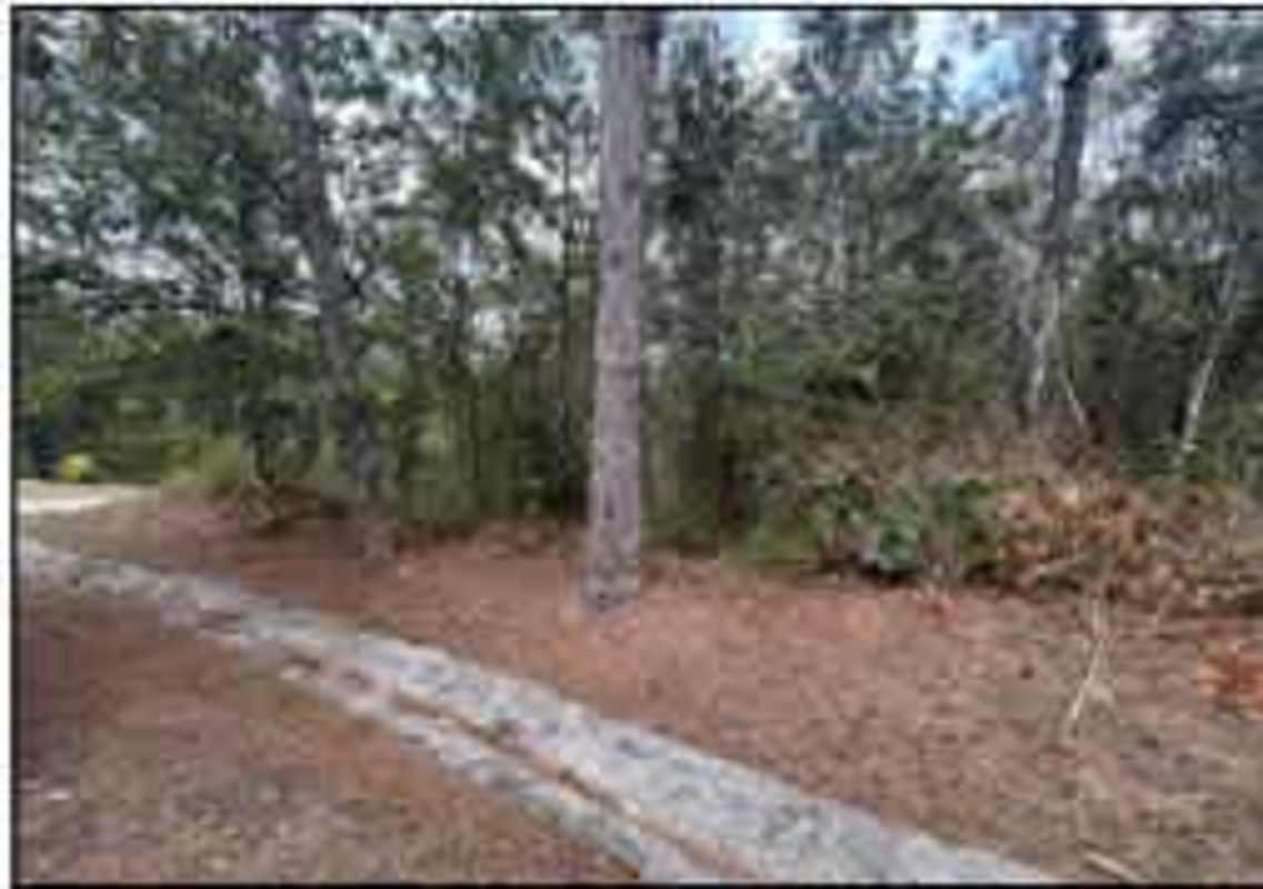 Forest view property with tall trees for sale in Altos de Cerro Azul Panama