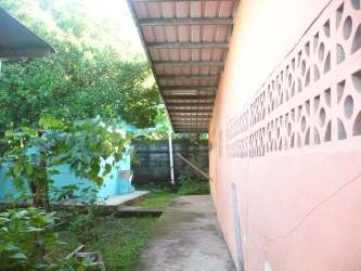 Side exterior shot with peach walls, perforated blocks and garden plants David Chiriqui