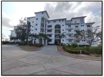 Infinity resort pool surrounded by palm trees in Vistamar Golf Beach Resort Panama