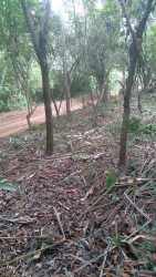 Drone photo showing large countryside acreage near Potrerillos Chiriquí Panama