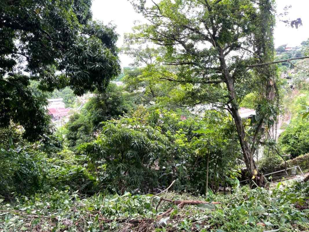 Lush green forested land with privacy for residential development in Panama City Rufina Alfaro
