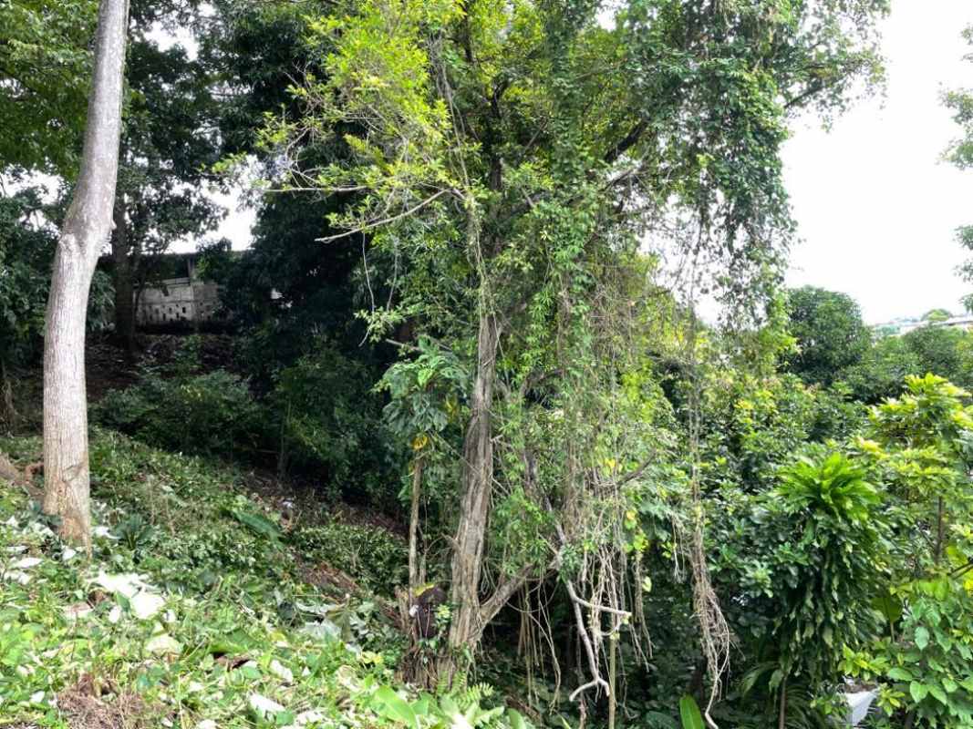 Prime 501m² Land Near Metro Paraiso Rufina Alfaro