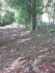 Land for Sale in Lidice - 0 bedrooms