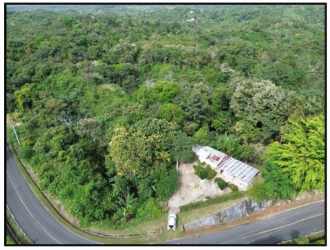 Mountain wooded lot close to El Valle in Caballero, Coclé province Panama