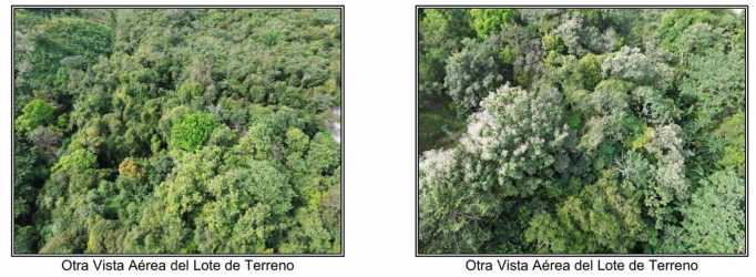 Forested mountain land with natural vegetation near Caballero and El Valle, Panama