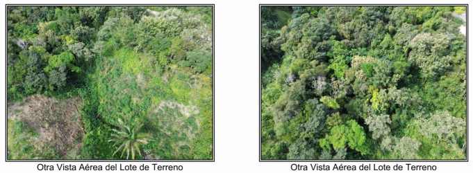 Mix of pasture and native woodland near El Valle de Antón Caballero Panama land for sale