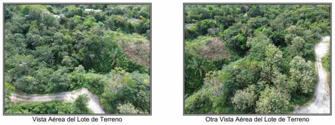 Dense green forested land suitable for eco-tourism or farm development in Caballero near El Valle Panama