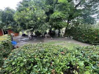 House for Sale in Las Lajas - 3 bedrooms