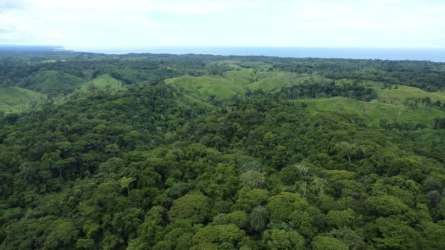 Panoramic aerial of rolling green hills, forest and open land near Pedasí Panama real estate