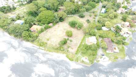 Vacant flat coastal oceanfront lot with trees and beachfront access in Panama
