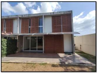Modern backyard garden with wall vines and palm PH Villa Iguana coastal house Panama