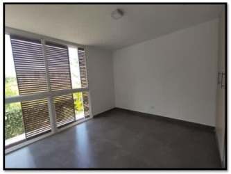 Private fenced backyard with tall hedges grass lawn PH Villa Iguana Beach Home Panama