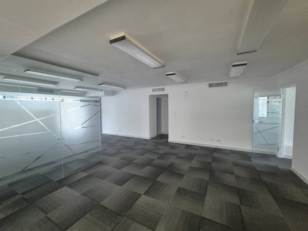Open office space with ample light carpet floors PH Financial Park Panama City