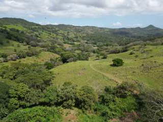 Land for Sale in Cermeño - 0 bedrooms