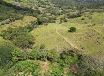 Green rolling hills with riverbeds ideal for eco agriculture or mining investment