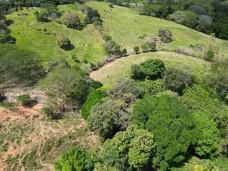 Aerial of natural river beds and forest zones in Cerro Campana rural land