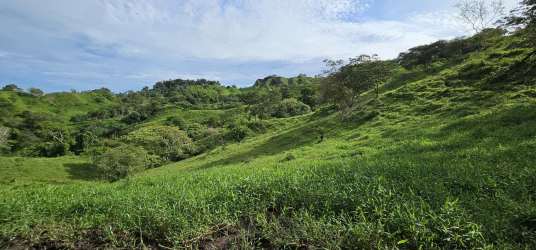 Hilly agricultural property with forest areas in Bugaba San Andrés for sale